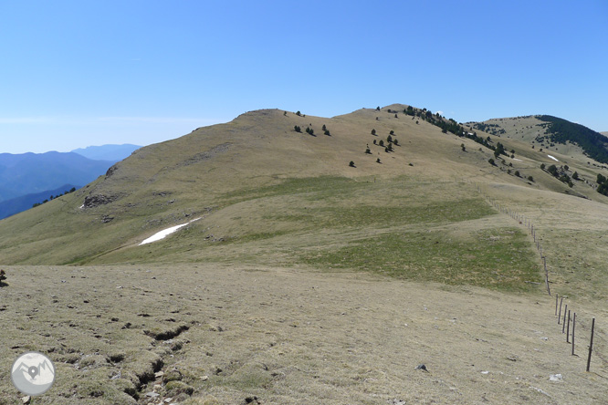 Costa Pubilla o Pla de Pujalts (2.056m) en el Montgrony 1 