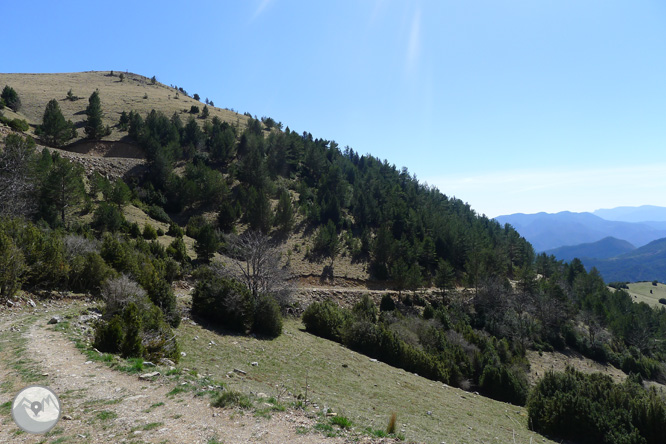 Costa Pubilla o Pla de Pujalts (2.056m) en el Montgrony 1 