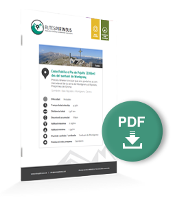 pdf-ruta