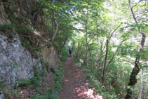 El camino que atraviesa el bosque es cómodo y agradable.