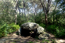 El dolmen de Can Mina de los Torrents.