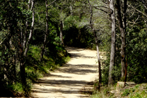 Las vistas invitan a caminar.