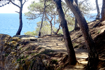 Camino de ronda esencial: pinos, roca y mar.