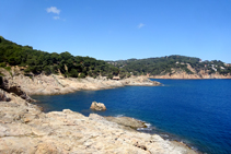 Cuatricomía: azul-cielo, verde-pino, gris-roca, azul-marino.