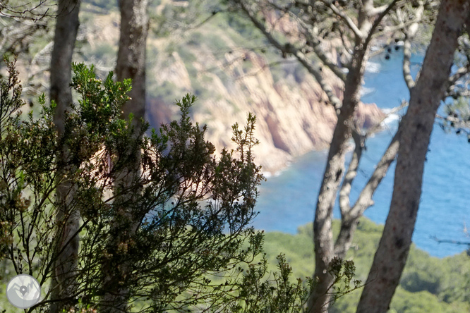 De Llafranc a Tamariu por caminos tradicionales y de ronda 1 