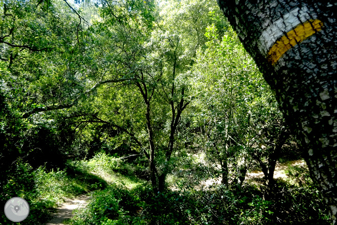 De Llafranc a Tamariu por caminos tradicionales y de ronda 1 