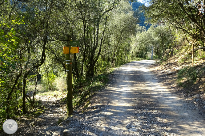 De Sadernes a Santa Bàrbara en la Alta Garrotxa 1 