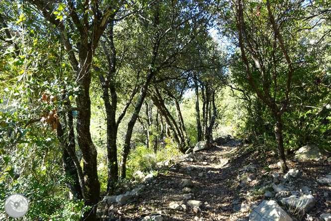 De Sadernes a Santa Bàrbara en la Alta Garrotxa 1 