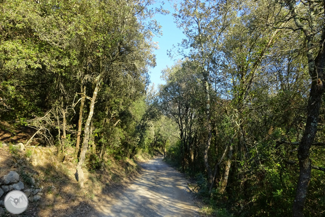 De Sadernes a Santa Bàrbara en la Alta Garrotxa 1 