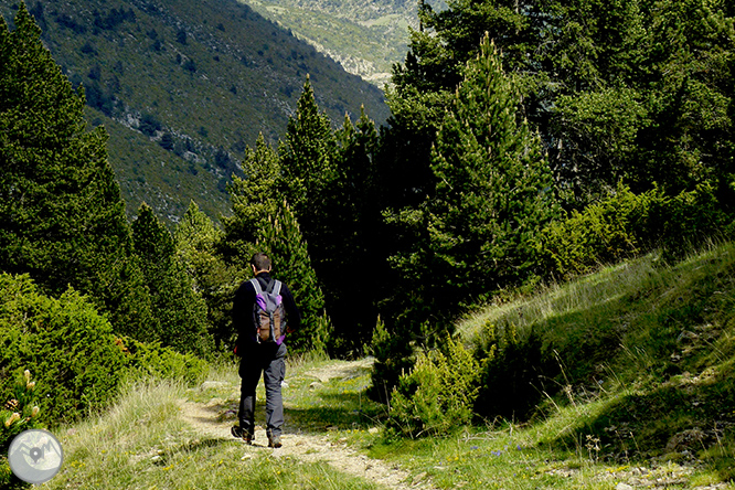 El Cadinell (2.113m) desde Josa de Cadí 1 