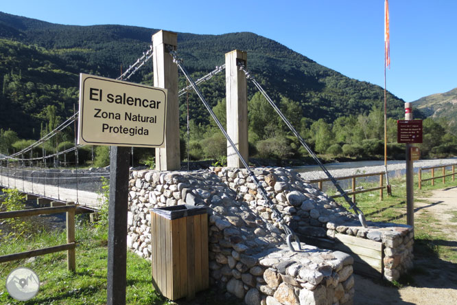 Paseo por el Salencar de Barruera 1 