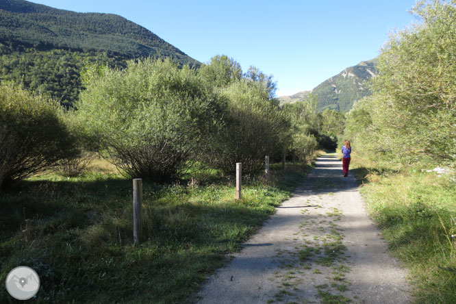 Paseo por el Salencar de Barruera 1 