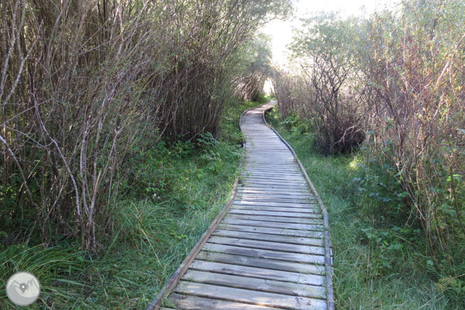 Paseo por el Salencar de Barruera 1 