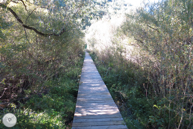 Paseo por el Salencar de Barruera 1 