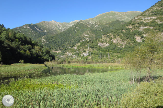 Paseo por el Salencar de Barruera 1 