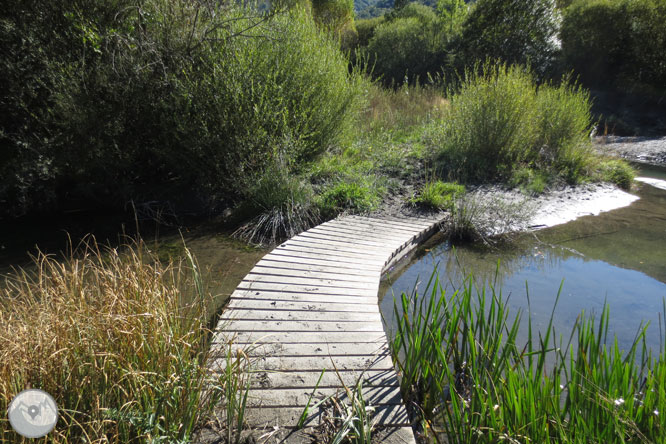 Paseo por el Salencar de Barruera 1 