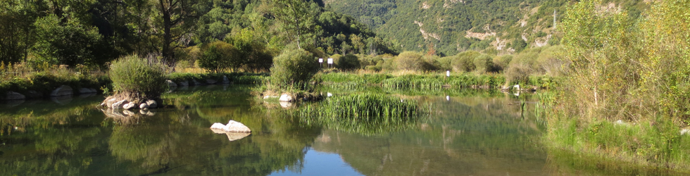 Paseo por el Salencar de Barruera