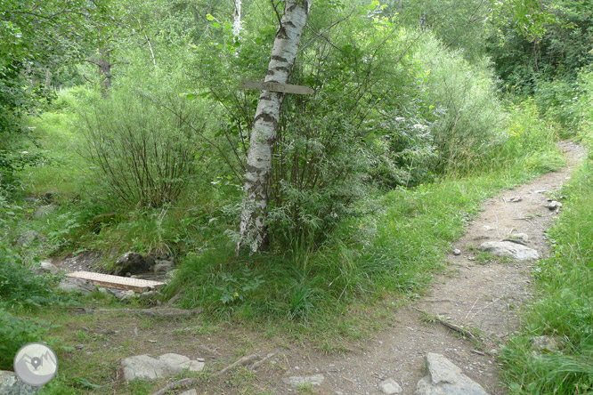 Paseo hasta El Salto en Sallent de Gállego 1 