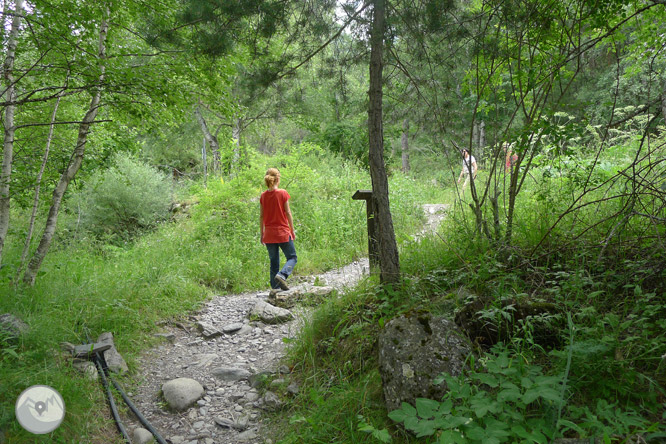 Paseo hasta El Salto en Sallent de Gállego 1 