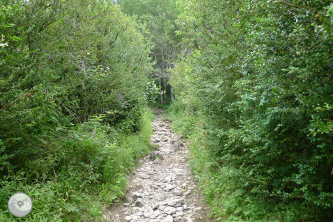 Paseo hasta El Salto en Sallent de Gállego 1 