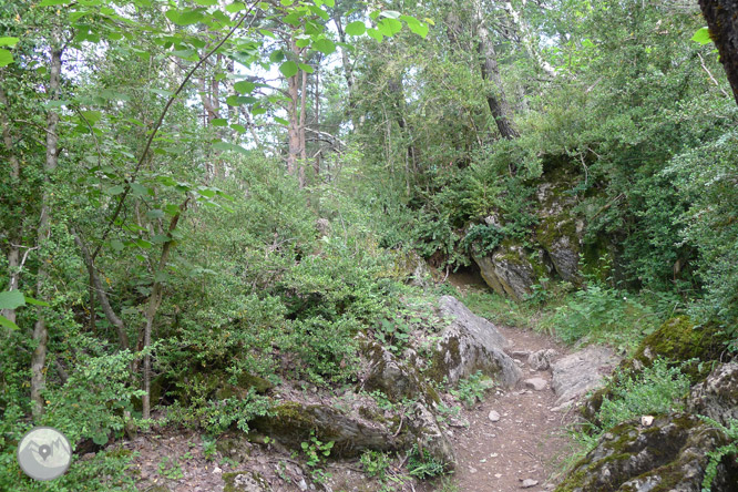 Paseo hasta El Salto en Sallent de Gállego 1 