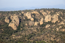 Roca Ponça, en Solius.