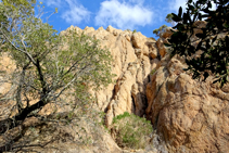 Peñascos de los Carcaixells de Dalmau.