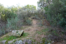 Pla de la Figuereta, camino de la Roca Rodona por la cresta.