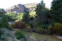 El río, el bosque submediterráneo y las paredes de roca conglomerada.