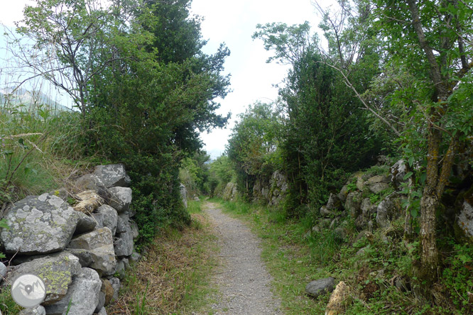 Camino Natural del embalse de Lanuza 1 