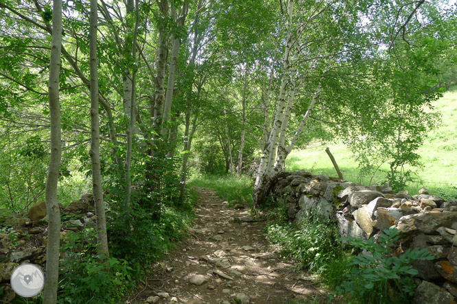 Camino Natural del embalse de Lanuza 1 