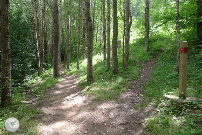 Camino Natural del embalse de Lanuza 1 