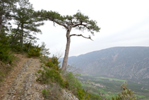 El valle de Cabó desde el pie del risco.