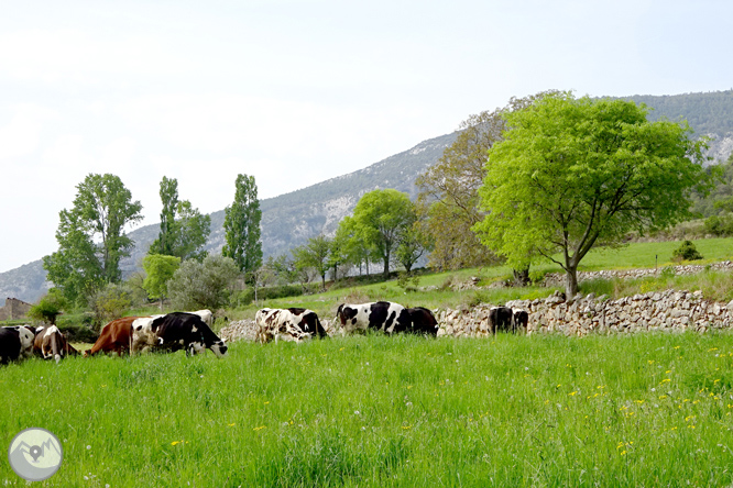 La ermita de Santa Fe de Organyà 1 