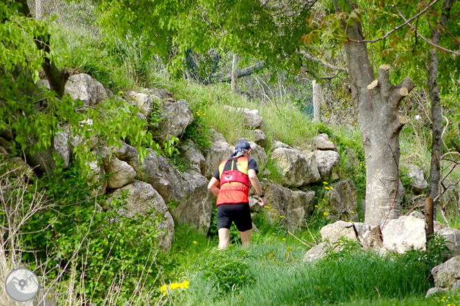 La ermita de Santa Fe de Organyà 1 