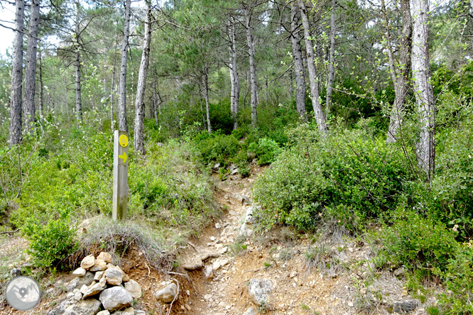 La ermita de Santa Fe de Organyà 1 