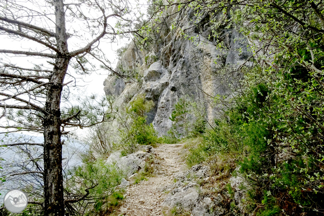 La ermita de Santa Fe de Organyà 1 