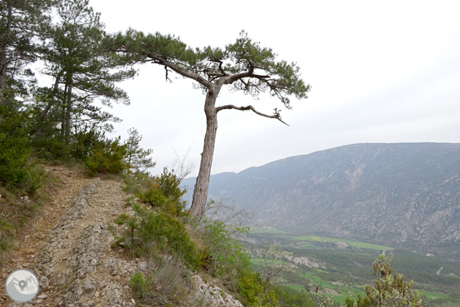 La ermita de Santa Fe de Organyà 1 