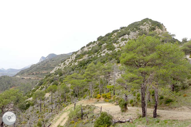 La ermita de Santa Fe de Organyà 1 