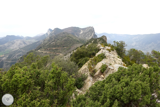 La ermita de Santa Fe de Organyà 1 