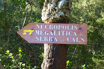 Camino de la necrópolis megalítica de la sierra de Cals.