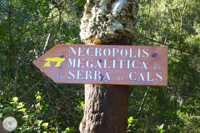 Iglesia y dólmenes de Fitor desde Fonteta 1 