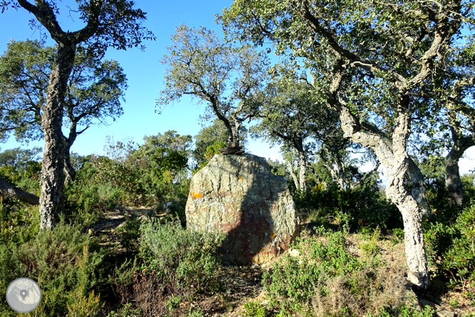 Iglesia y dólmenes de Fitor desde Fonteta 1 