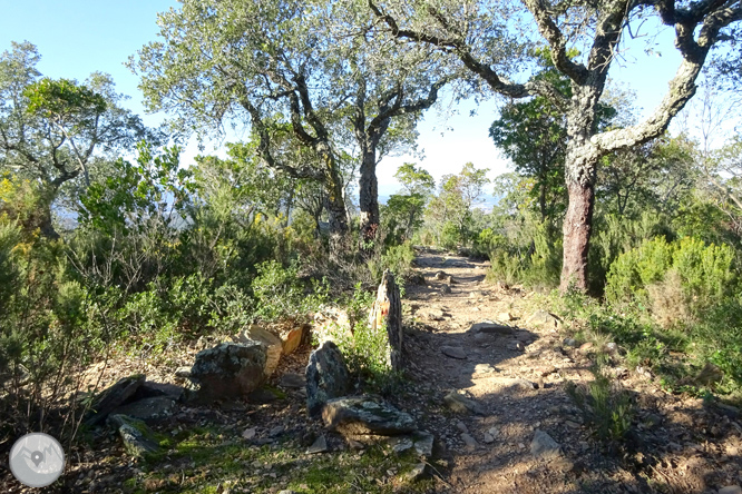 Iglesia y dólmenes de Fitor desde Fonteta 1 