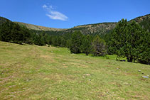 Prados. Al fondo, el contrafuerte NE de la Torreta de l´Orri con la Portella.