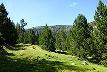 El sendero, a veces desdibujado, enfila hacia el NO, entre el lomo y el fondo del valle.