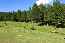 El pastoral río del valle de las Comes de Rubió.