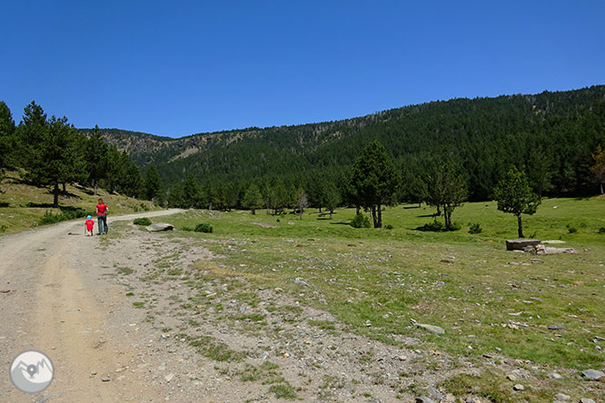 El pequeño lago de Davall en Comes de Rubió 1 