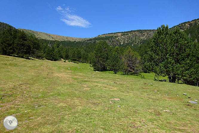 El pequeño lago de Davall en Comes de Rubió 1 