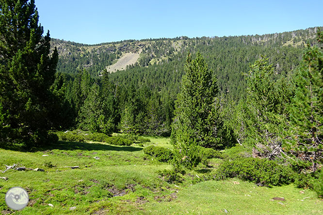 El pequeño lago de Davall en Comes de Rubió 1 